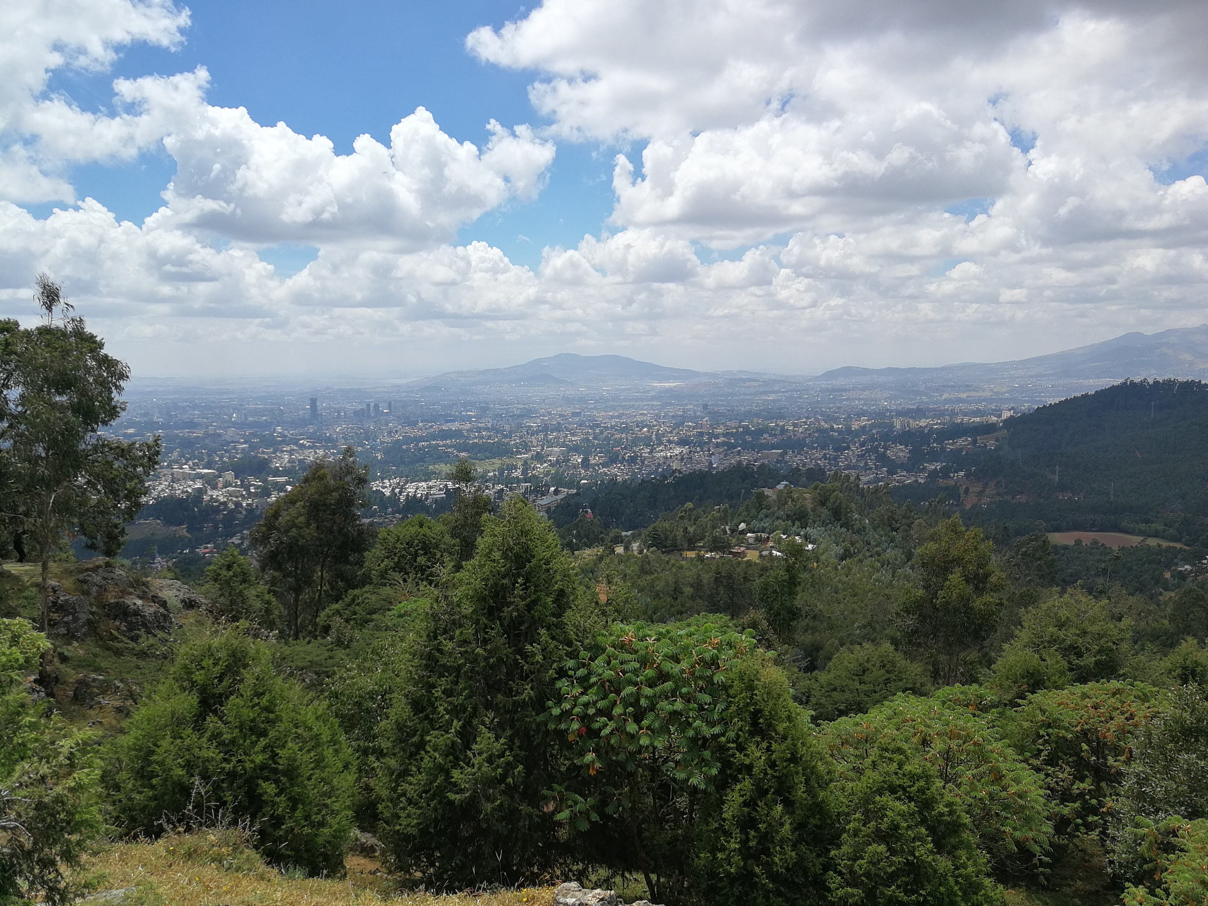 Ark of the Covenant | Brilliant Ethiopia