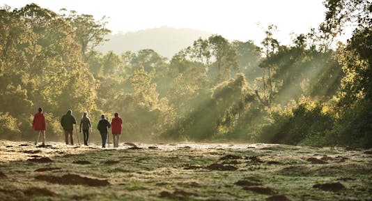 Bale Mountains National Park