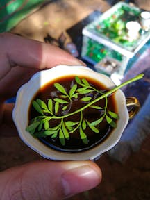 Ethiopian Cuisine
