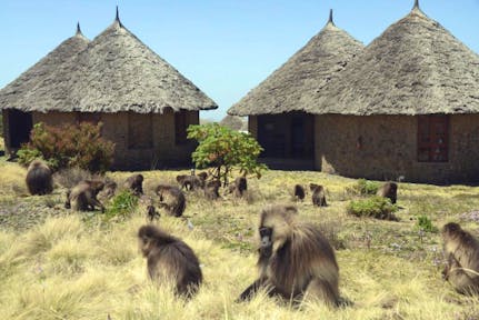 Simien Mountains Accommodation