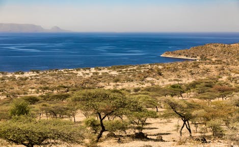 Abijatta-Shalla National Park
