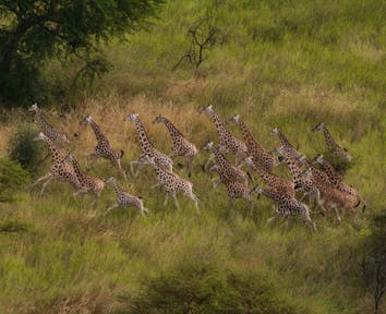 Ethiopia Safaris