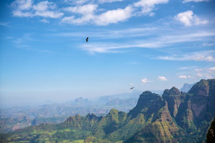 Landscape in the Simien Mountains with birds flying